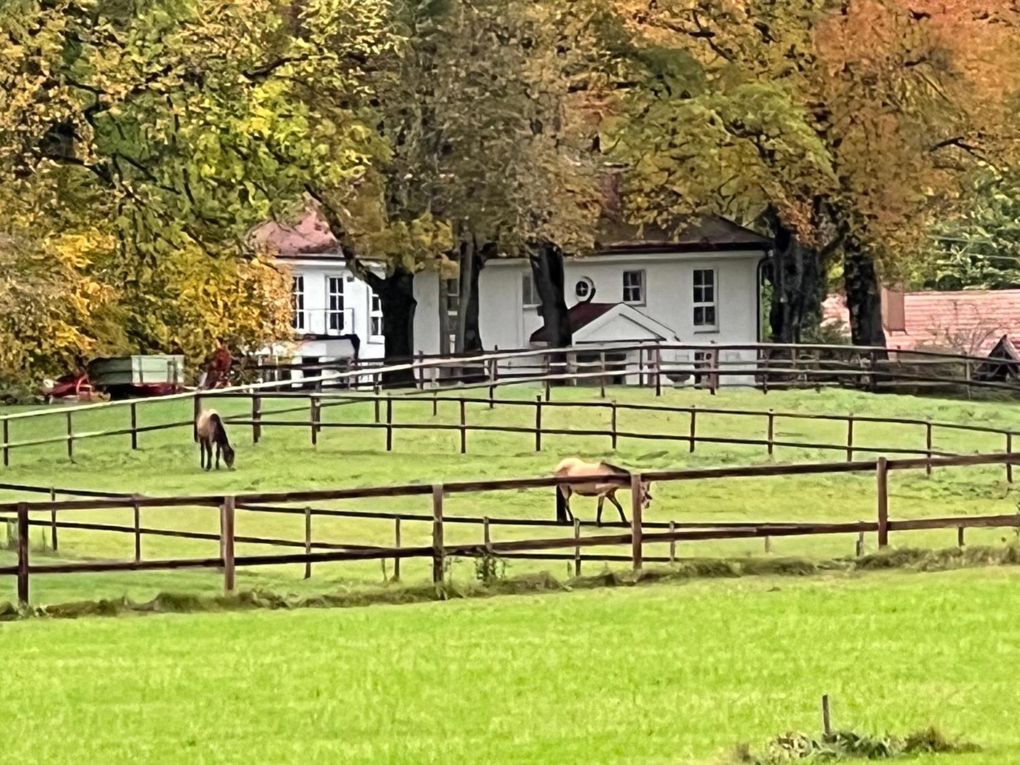 Herrenhaus - Starnberger See - Ammerland Munsing Bagian luar foto